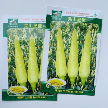 早熟单生朝天椒种子辣味浓小米椒黄色尖椒泡椒春秋辣椒种子