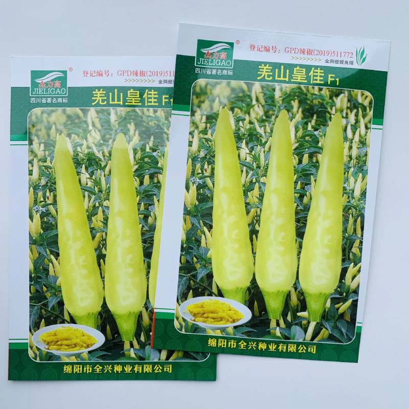 早熟单生朝天椒种子辣味浓小米椒黄色尖椒泡椒春秋辣椒种子