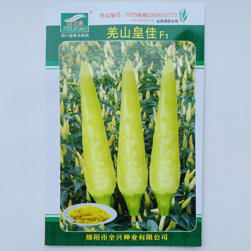 早熟单生朝天椒种子辣味浓小米椒黄色尖椒泡椒春秋辣椒种子
