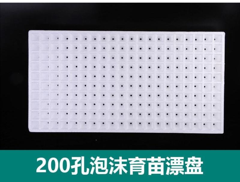 育苗盘
