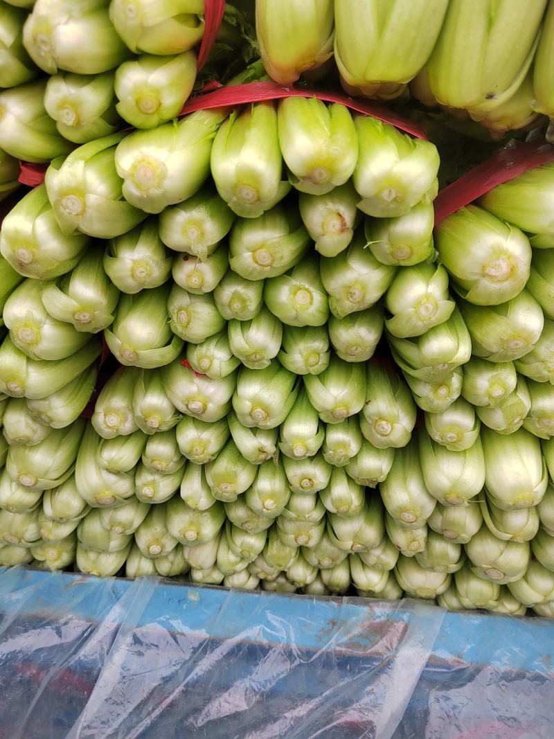 精品小白菜大量供应，产地直发，量大从优，欢迎咨询订购。