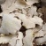 白土茯苓土茯苓统产地贵州省产地直销重在品质