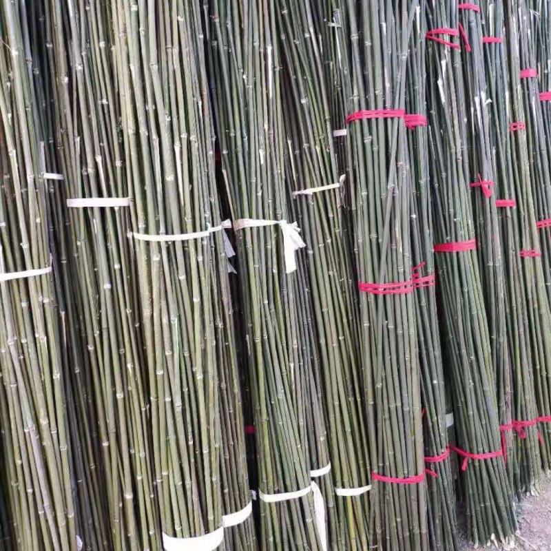菜架竹水竹豆角架冬瓜架苦竹竹子欢迎咨询选购