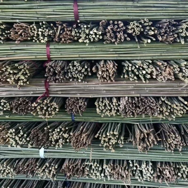 菜架竹水竹豆角架冬瓜架苦竹竹子欢迎咨询选购