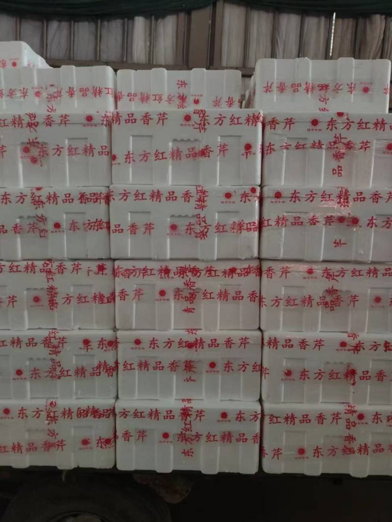 精品香芹，散装箱装都可以