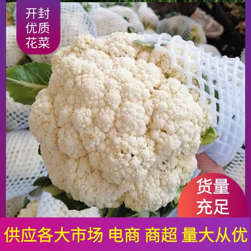 【精选】花菜精品有机花菜大量上市货源充足价格便宜