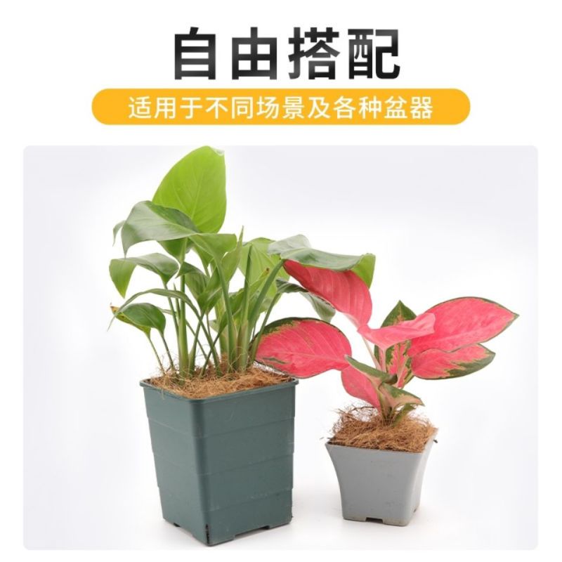 包邮海南椰棕丝椰丝花盆铺面盆栽椰棕丝