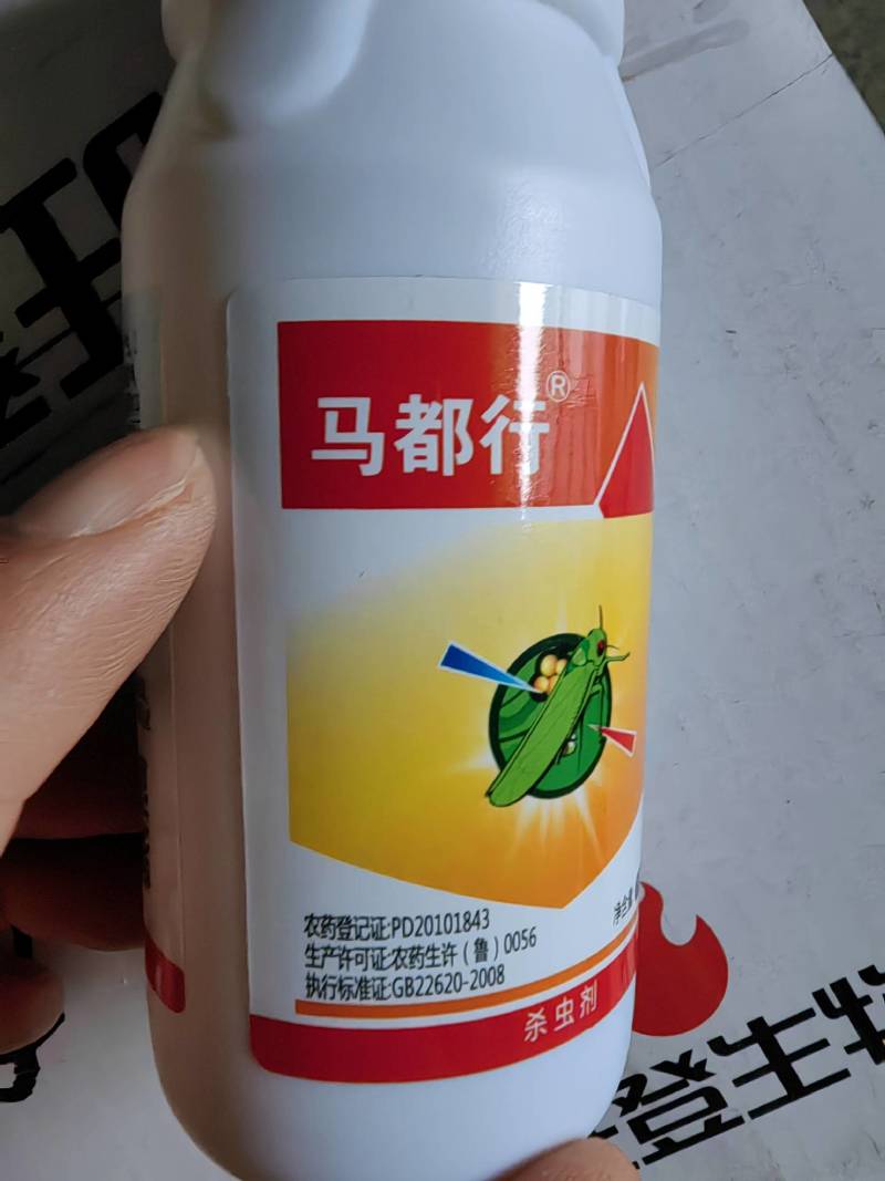 蓟马联苯菊脂农药酯茶叶专药用茶小绿叶蝉尺蠖灭白蚁防治杀