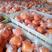 湖南纽荷尔脐橙，可对接团购，电商，批发，超商，大量供应