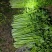 山东芹菜大量有货,质量好,价格低需要的可以联系我