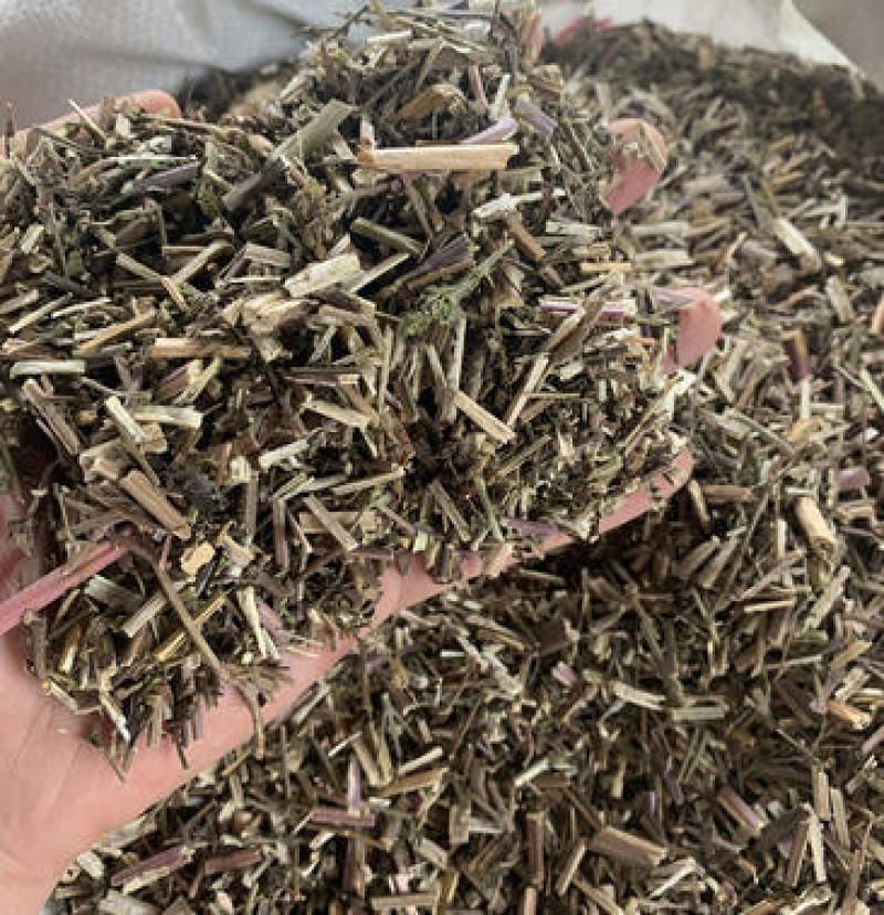【荆芥】荆芥穗.中药材批发.质量保证规格齐全.