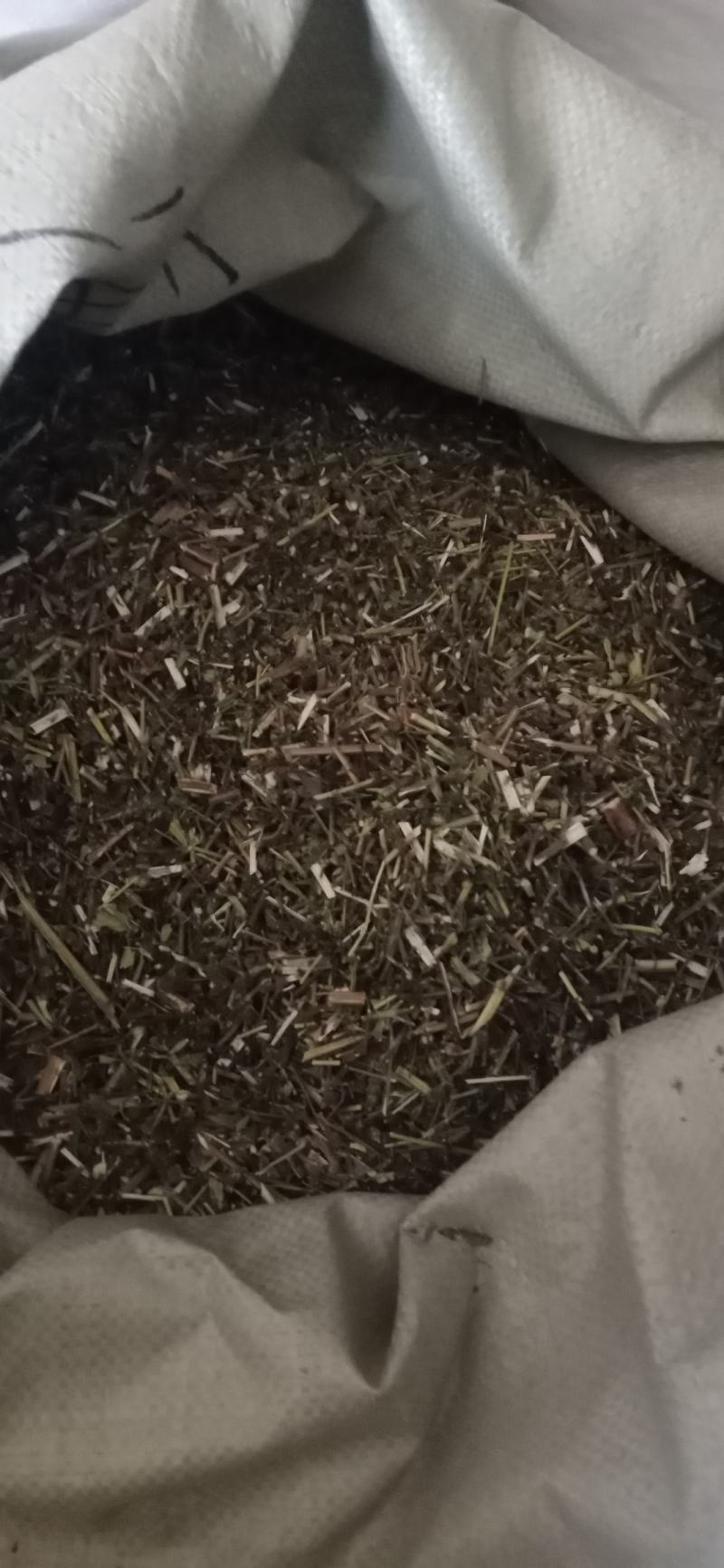 【荆芥】荆芥穗.中药材批发.质量保证规格齐全.