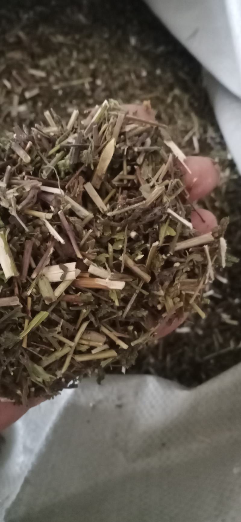 【荆芥】荆芥穗.中药材批发.质量保证规格齐全.