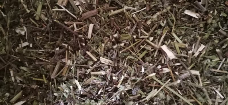 【荆芥】荆芥穗.中药材批发.质量保证规格齐全.