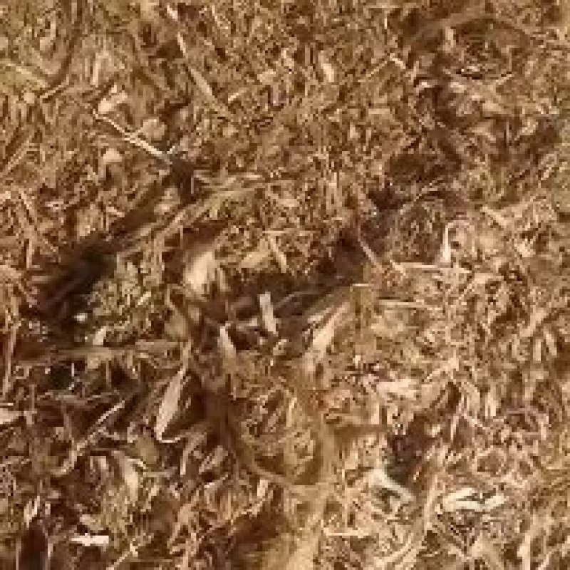 【精选】天津玉米桔杆青储，常年供应，一手货源，品质保证