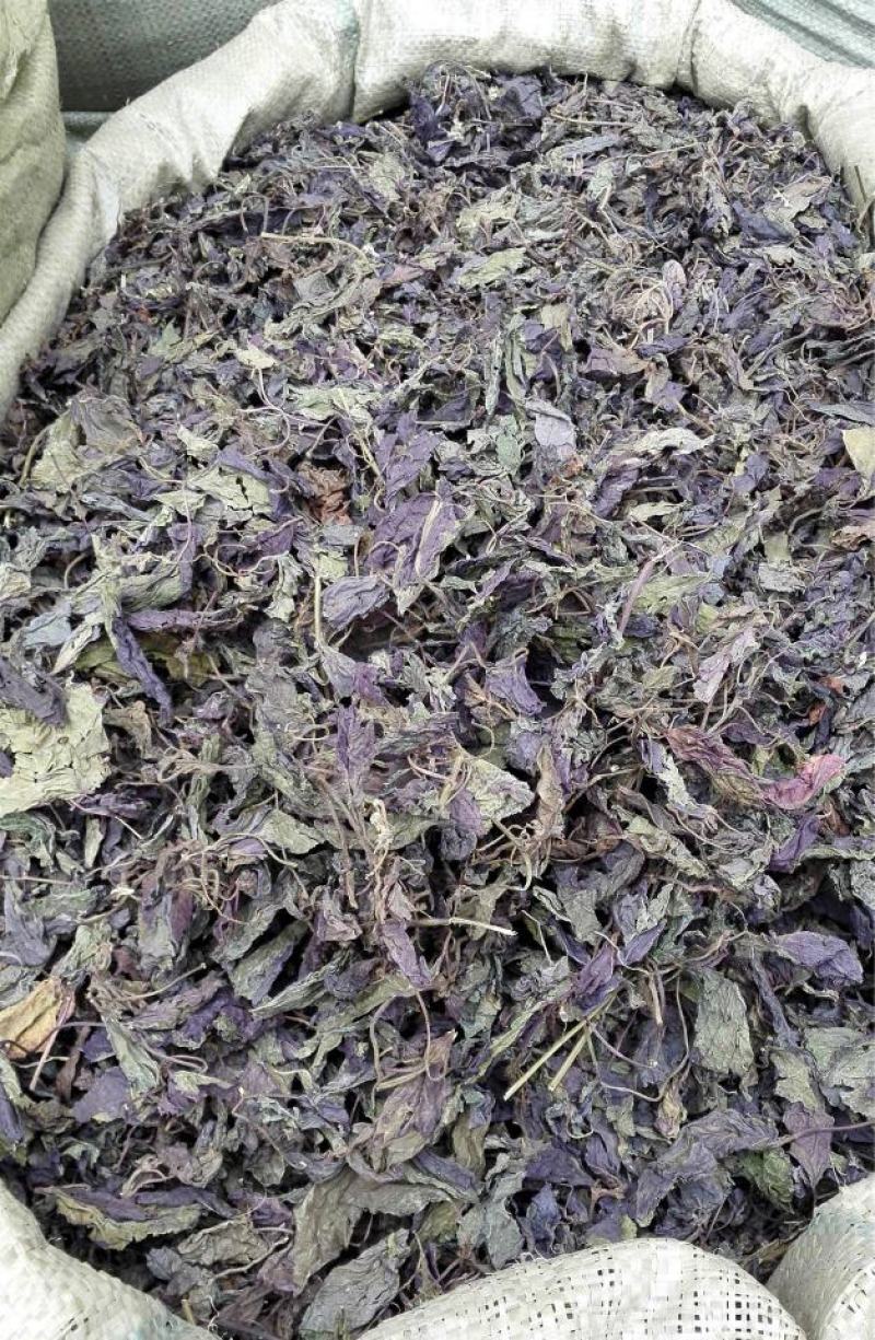 紫苏叶.苏梗.苏子..中药材批发.质量保证规格齐全.