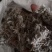 绵菌陈..中药材批发.质量保证规格齐全.
