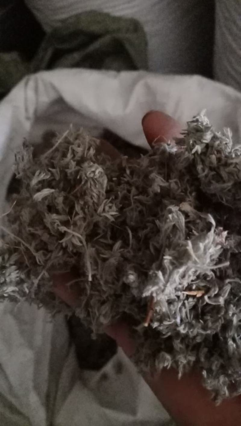 绵菌陈..中药材批发.质量保证规格齐全.