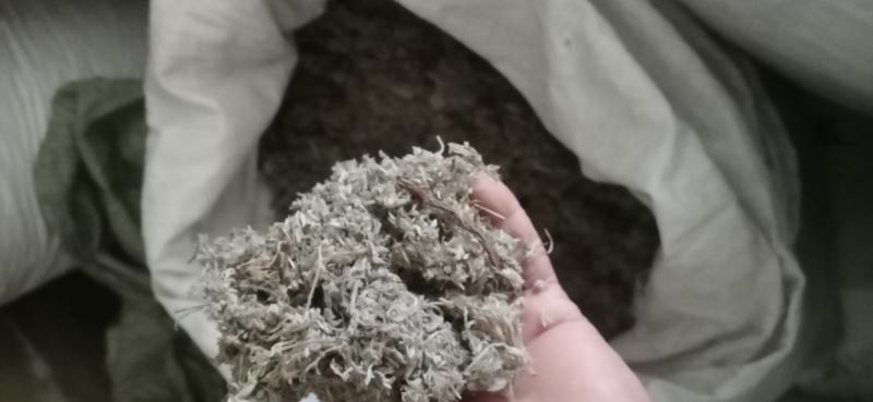 绵菌陈..中药材批发.质量保证规格齐全.
