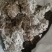 绵菌陈..中药材批发.质量保证规格齐全.