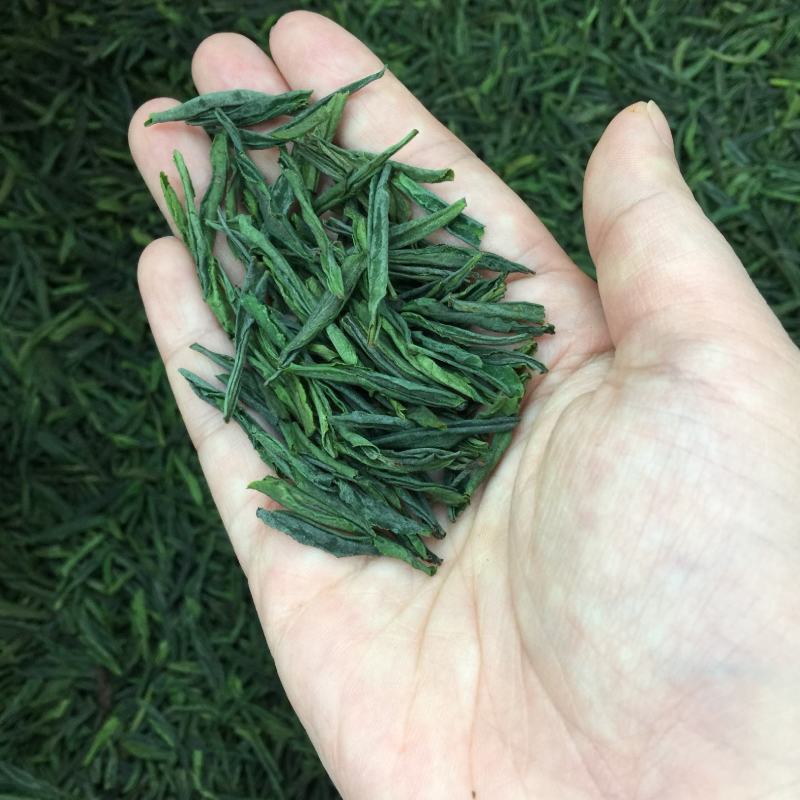 今年新茶明前六安瓜片茶片250g包邮