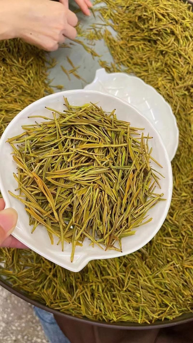 今年新茶雨前黄金芽绿茶安吉白茶500g包邮