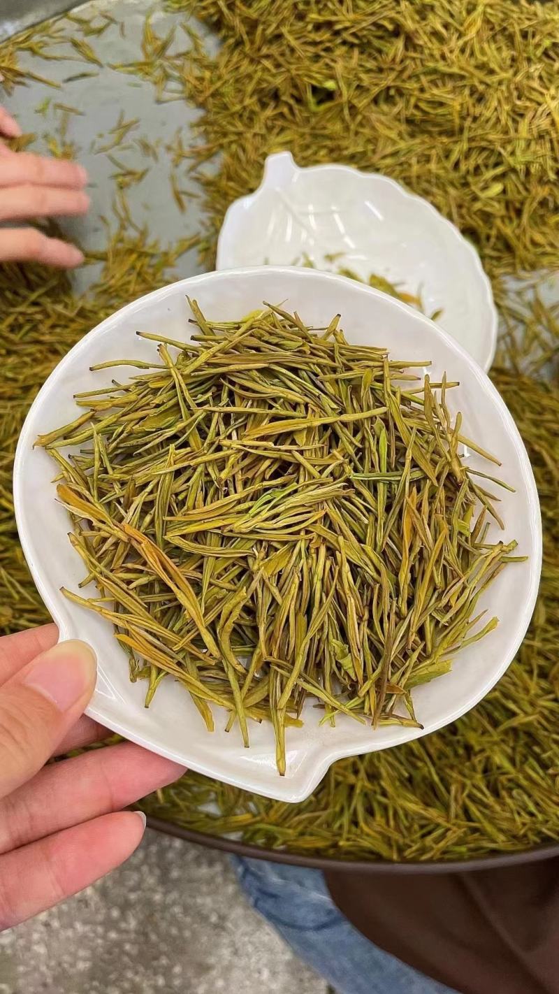 今年新茶雨前黄金芽绿茶安吉白茶500g包邮