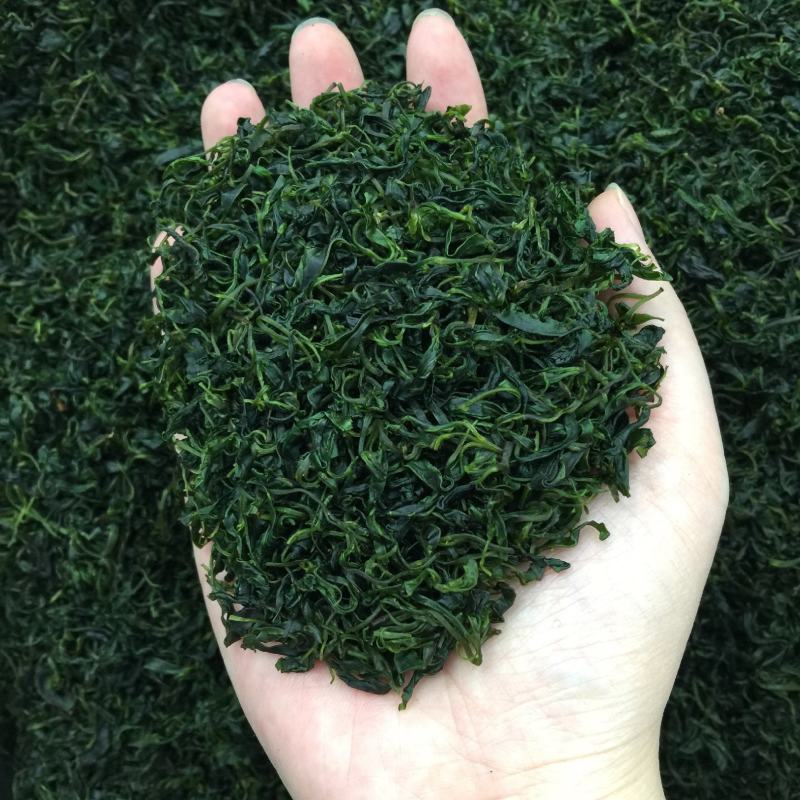 小叶苦丁茶绿水青山茶新茶500g包邮