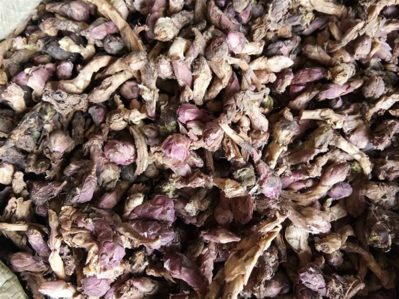 【款冬花】.中药材批发.质量保证规格齐全.
