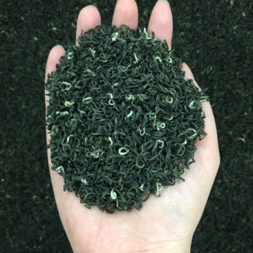 今年碧螺春新茶春茶500g包邮