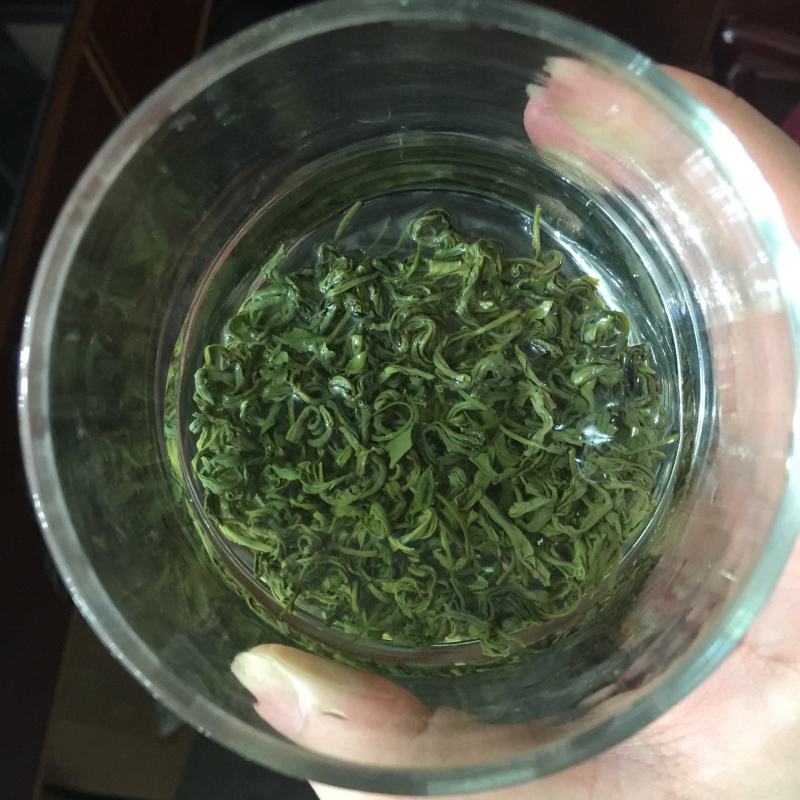 今年碧螺春新茶春茶500g包邮