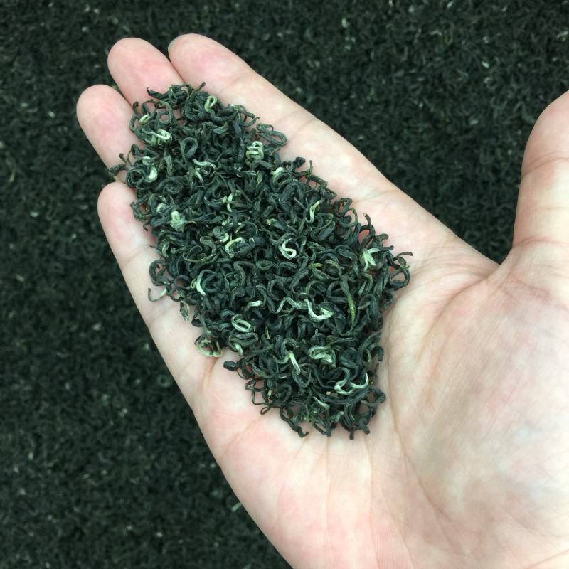 今年碧螺春新茶春茶500g包邮