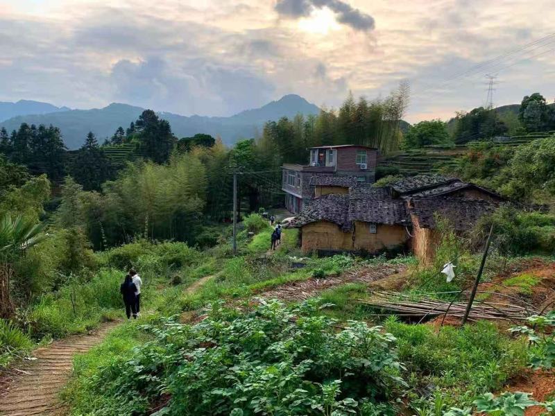 新茶大红袍武夷岩茶500g包邮