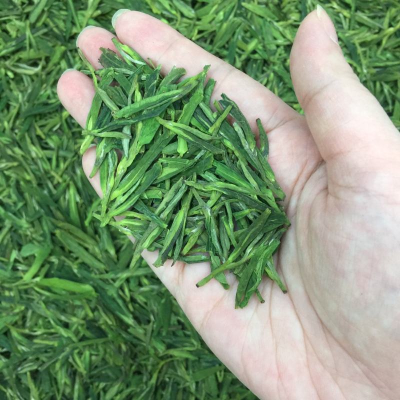明前龙井高性价比绿茶豆香味足250g包邮