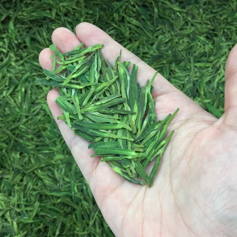 明前龙井高性价比绿茶豆香味足250g包邮
