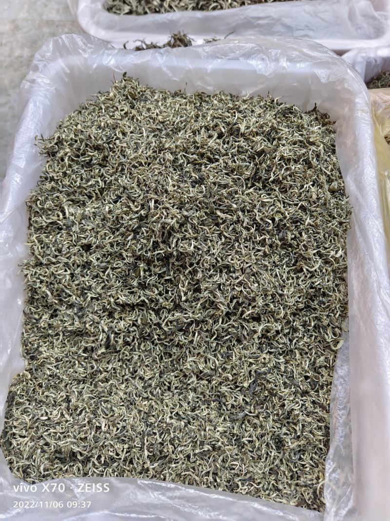 头春绿茶