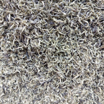 头春绿茶