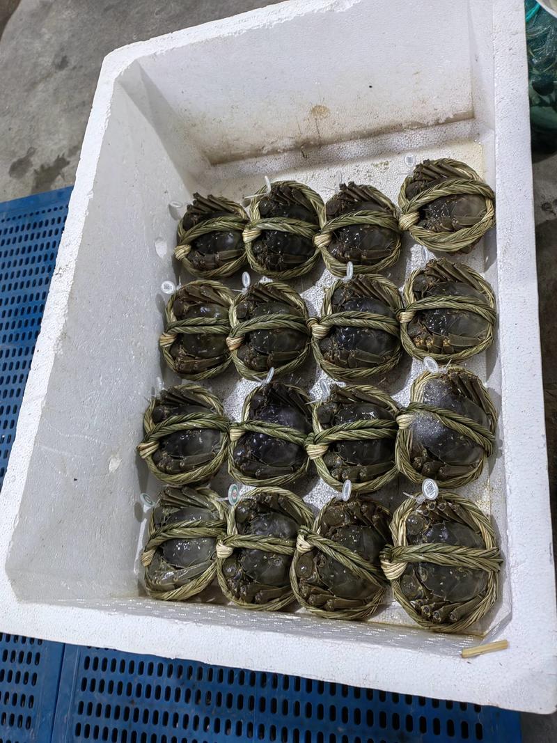 江苏泰州兴化安丰精品螃蟹批发，长期稳定货源对接各级市场