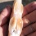 白鱼马口大嘴嘴马口桃花鱼鲫鱼鲤鱼
