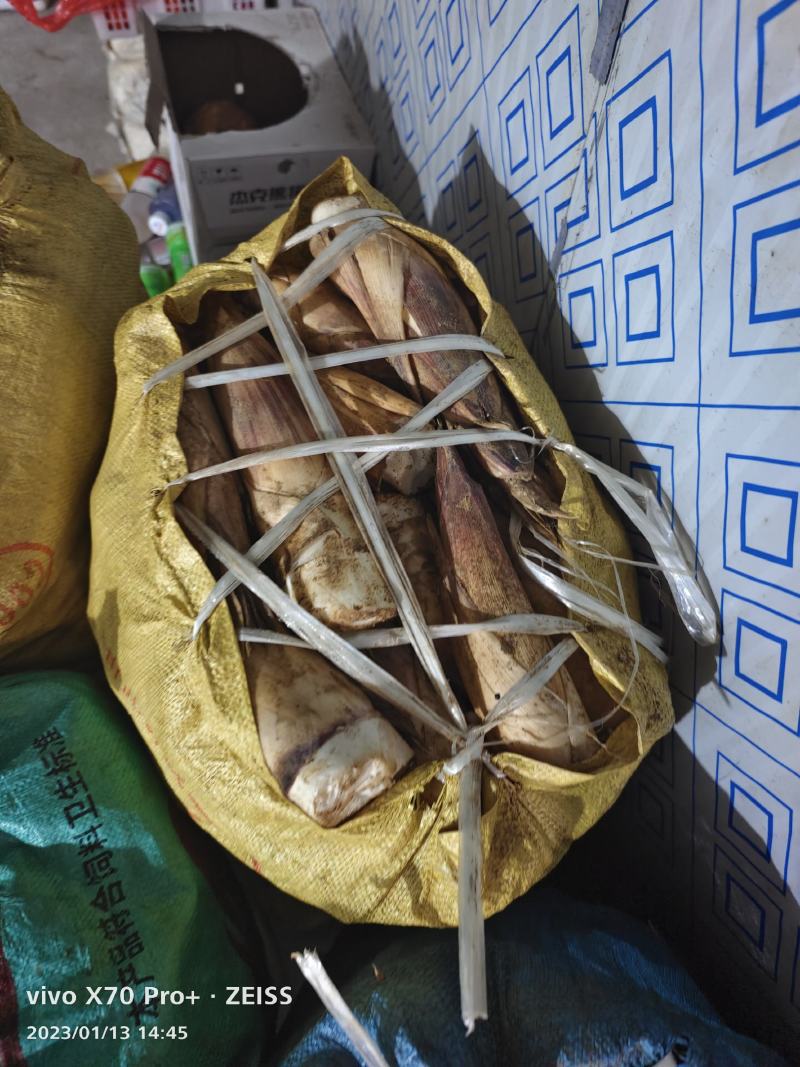 大瑶山精品甜笋大量上市