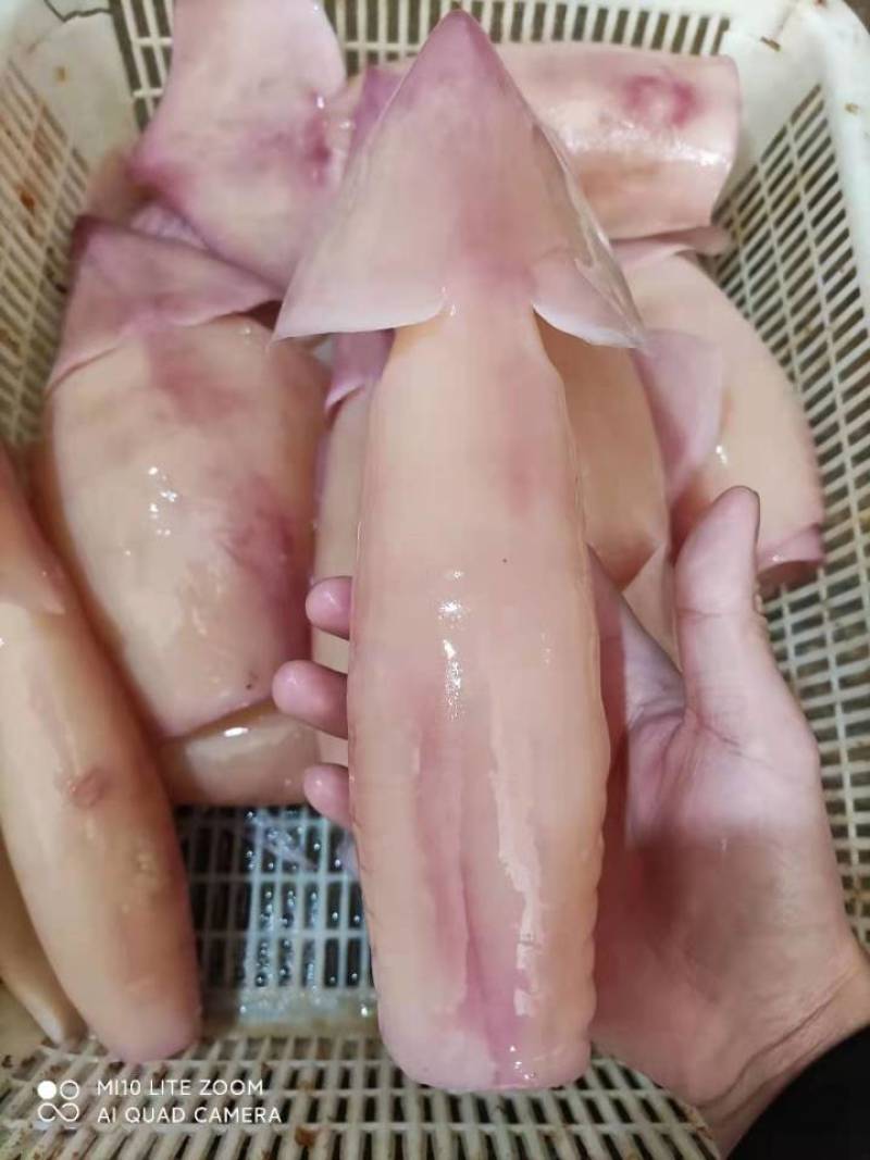 鱿鱼干鱿鱼片干鱿鱼去须干片高涨发