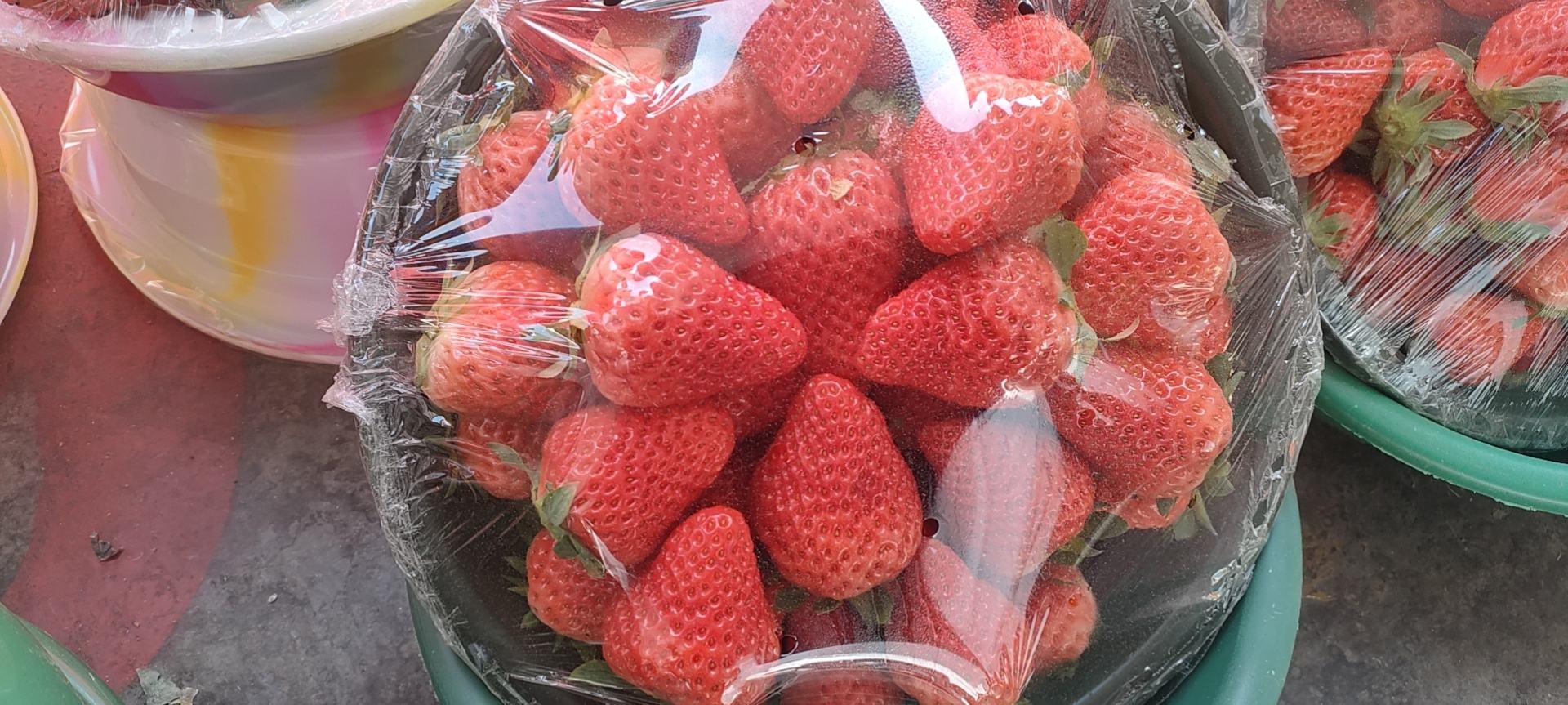 红颜草莓特写