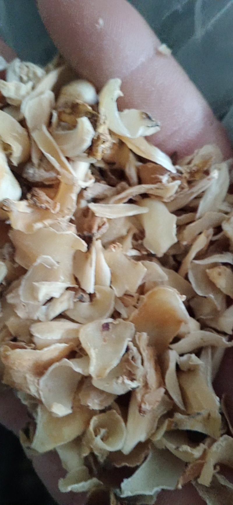 【百合】药食两用.中药材批发.质量保证规格齐全.