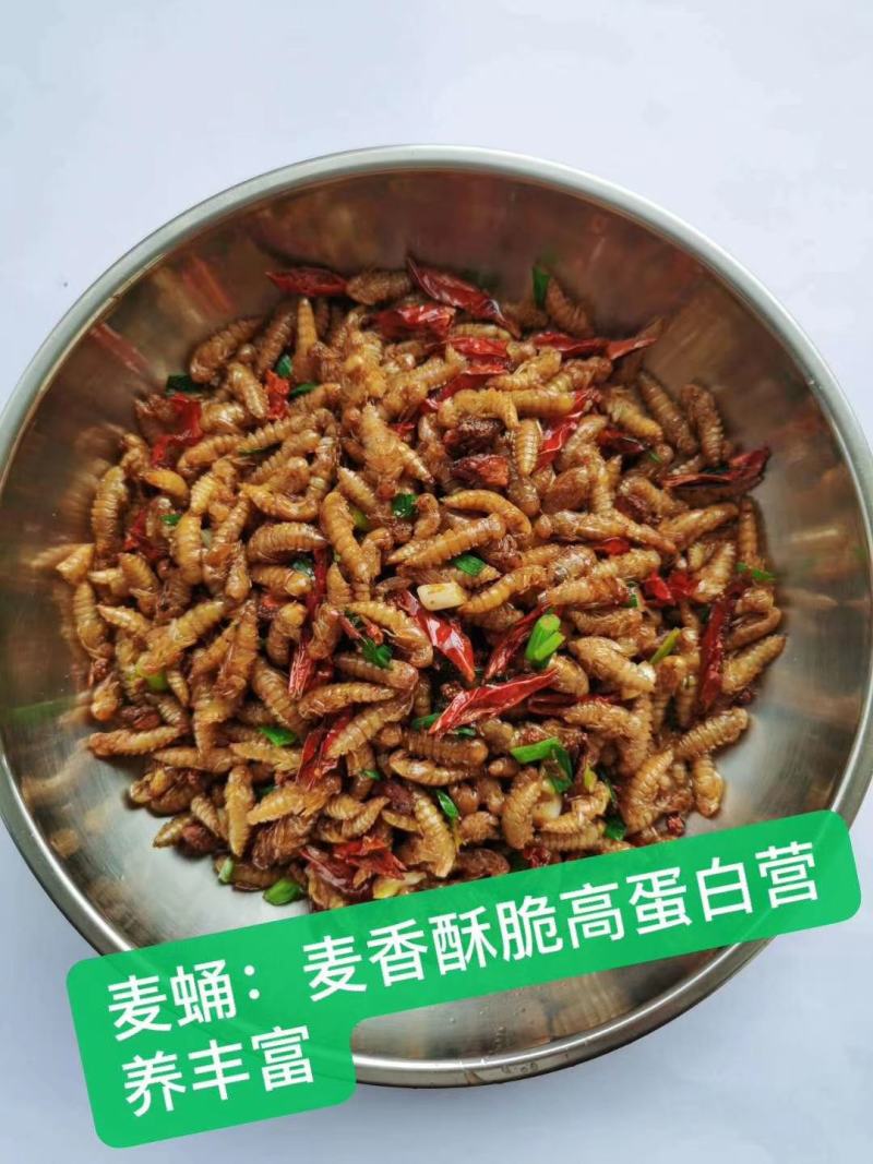 大麦虫蛹，虫蛹，