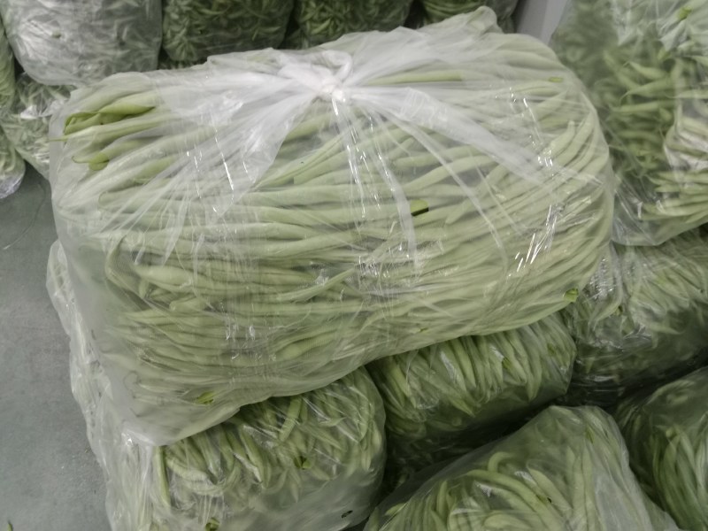 无茎豆，云南新苗精品上市，可做各市场精品货，包装制定！