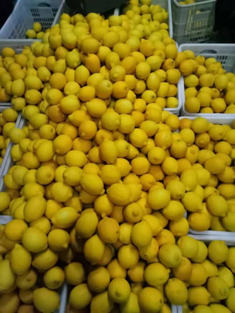柠檬安岳柠檬产地直供表皮光滑平整无瑕疵品质保障