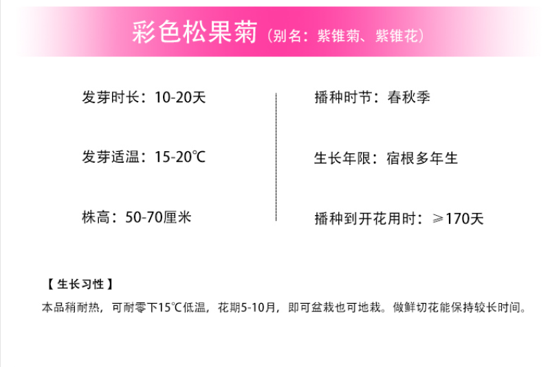 彩色松果菊种子宿根多年生耐寒耐热紫锥菊花卉种籽庭院阳台