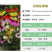 彩色松果菊种子宿根多年生耐寒耐热紫锥菊花卉种籽庭院阳台