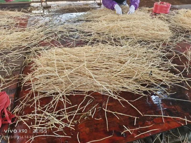 广西中药材中草药白茅根产地批发规格齐全对接药厂