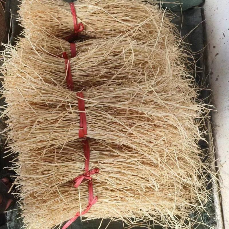 广西中药材中草药白茅根产地批发规格齐全对接药厂